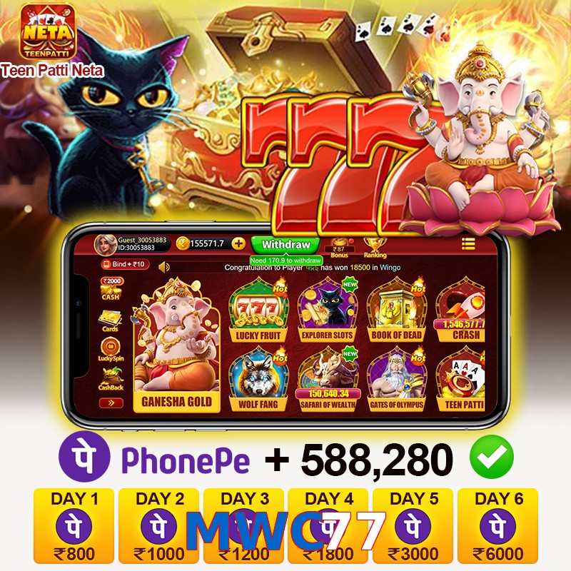 MWC77